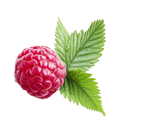 grafika