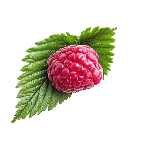 grafika